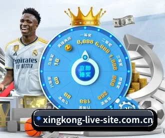 星空官网 APP 深度功能
