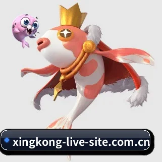 星空官网 APP