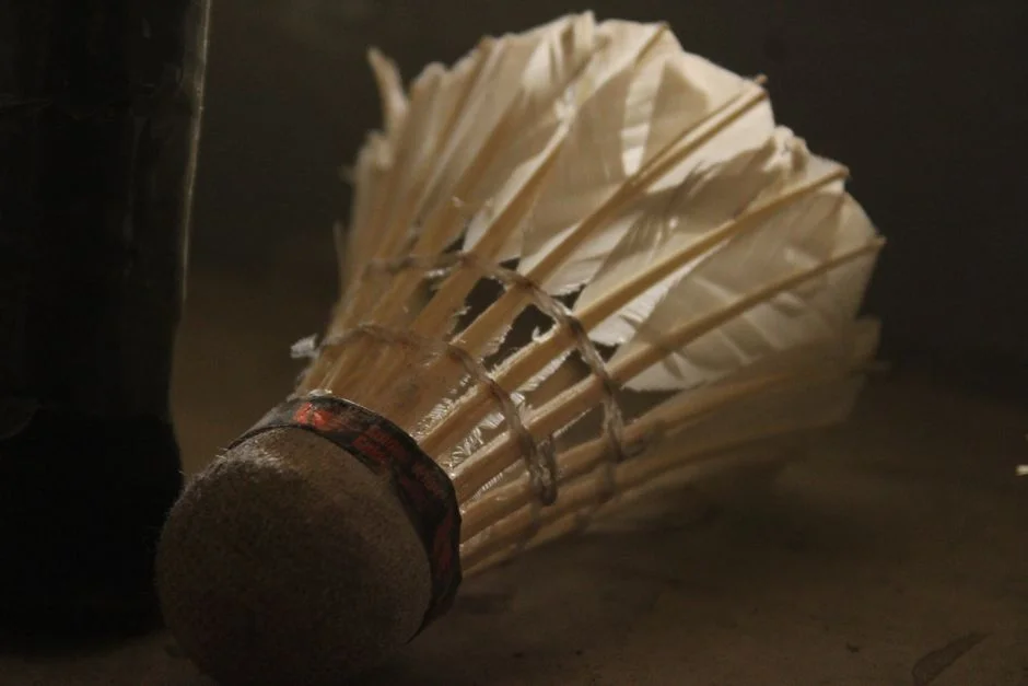 badminton mixed doubles
