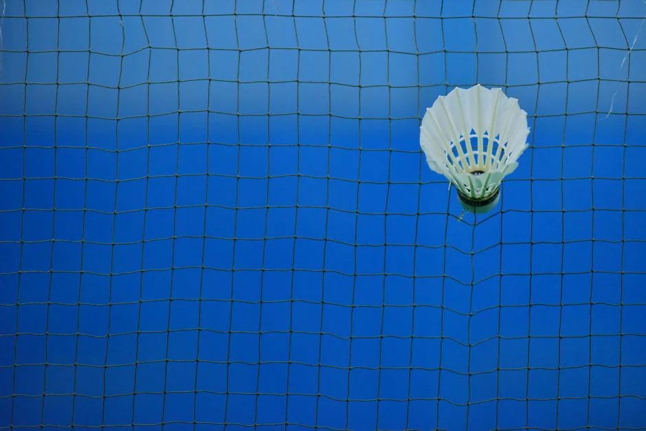Olympic badminton court