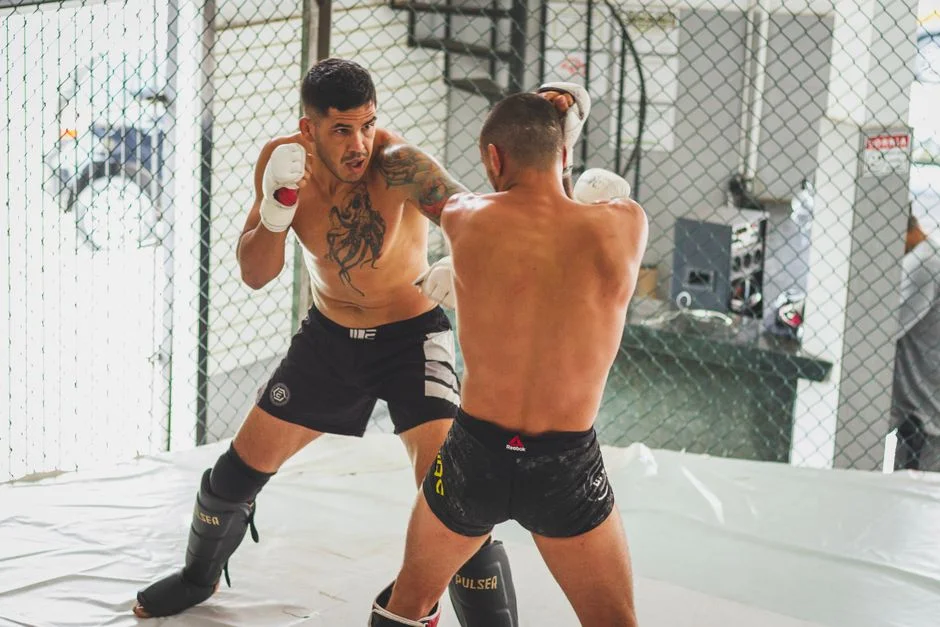 UFC 306敲定奥马利与斯特林雏量级二番战 站立系对决技术克制深度解析